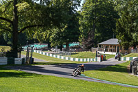 Middle Group Silver_Grey Bikes